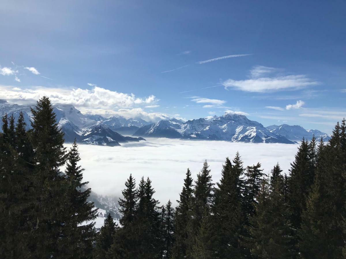 Chalet Rouge Coeur Bex Eksteriør bilde